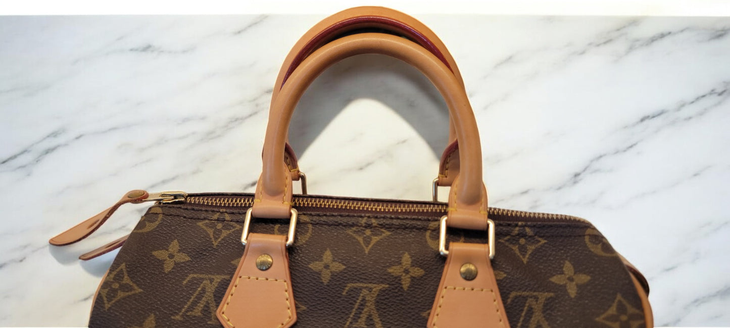 Louis Vuitton Speedy 25