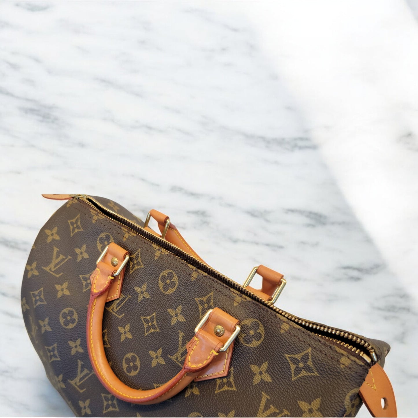 Louis Vuitton Speedy 30