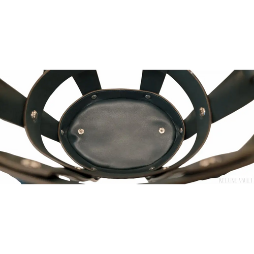 Load image 1 in gallery view. Cage Bag Python [Ultra Rare] Retails $4000