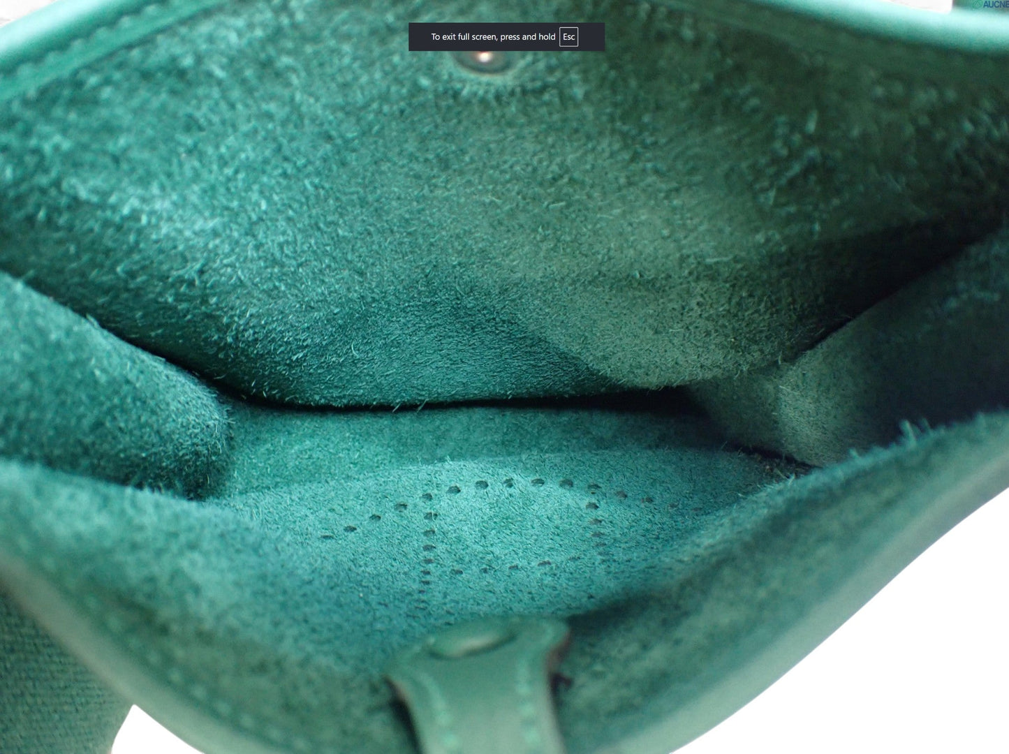 Close-up of a green textured object with a white background