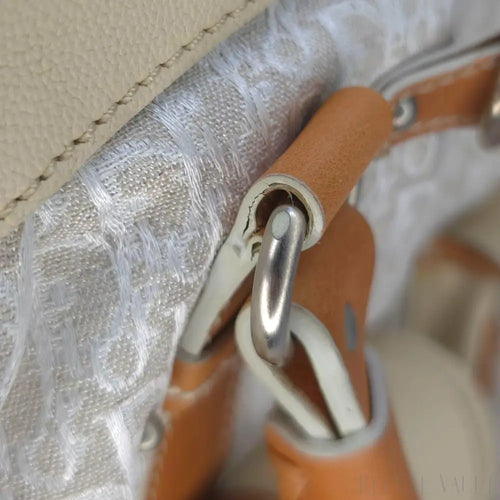 Load image 1 in gallery view. Vintage Large Diorissimo Trotter Canvas My Dior Frame Pocket handbag
